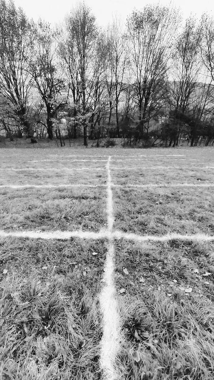 Túžba po mieste | Experimentálna kresba | 2022 | Site specific